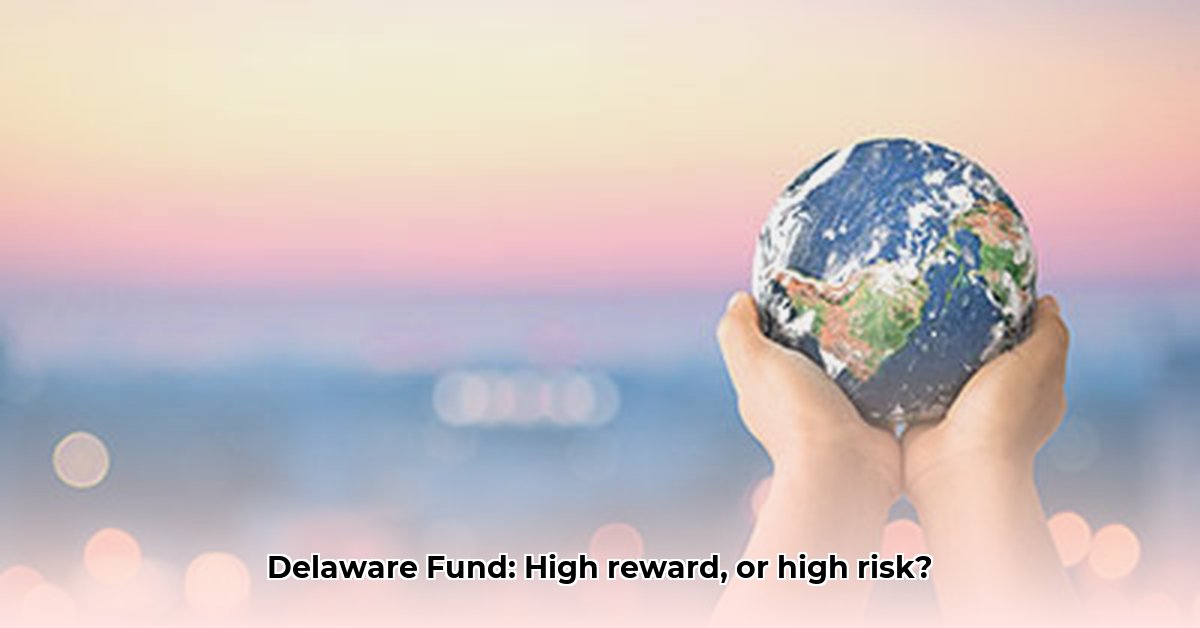 delaware-emerging-markets-fund